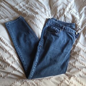Lane Bryant Dark Blue Skinny Jeans